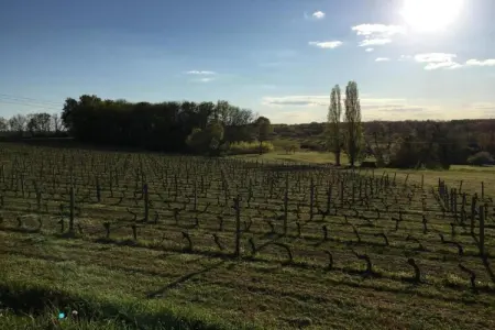 Maison de vacances Mazeyrolles 8p, Évasion en forêt de Mazeyrolles - Photo 30