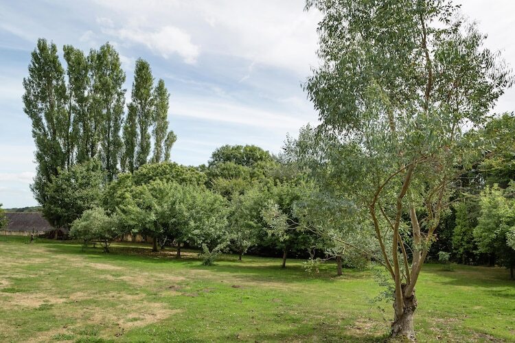Maison 4 personnes avec jardin à 7 km de la plage - Photo 22