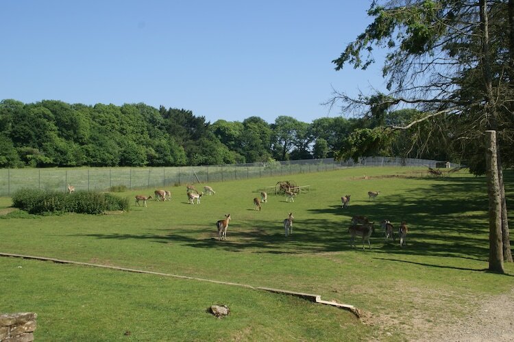 Maison mitoyenne dans parc animalier, 2 km des plages - Photo 12