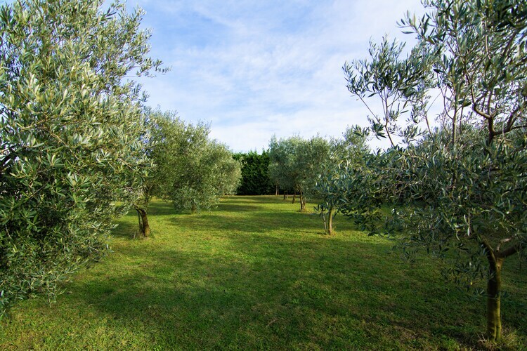 Villa 5 pers. avec piscine et oliviers centenaires à Montfrin - Photo 26