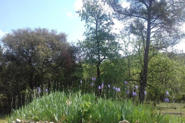 Villa Les Chênes - piscine privée et terrain clos à Saint-Brès - Photo 36