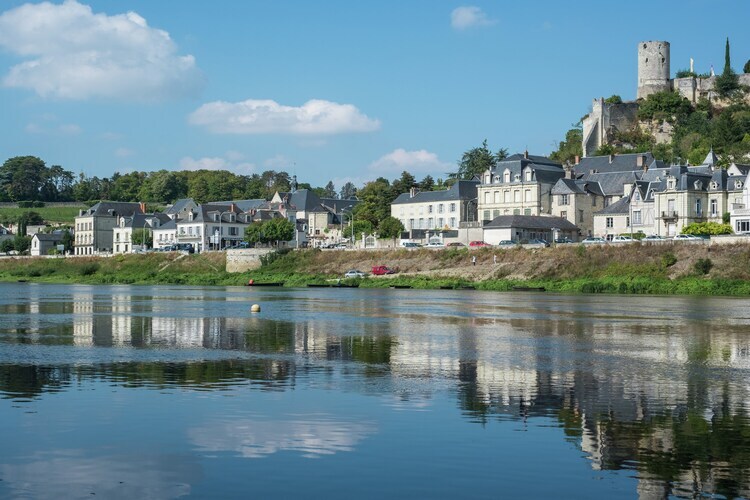 Maison 2 chambres avec jardin à Beaumont-en-Véron - Photo 38