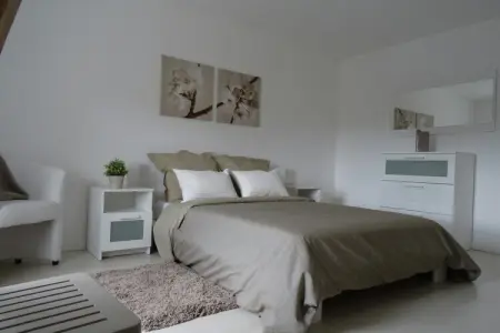 Maison 2 chambres avec jardin à Beaumont-en-Véron : photo 5