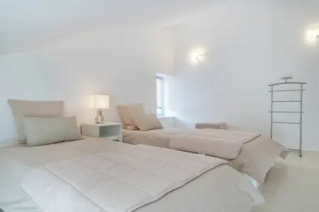 Maison 2 chambres avec jardin à Beaumont-en-Véron : photo 22