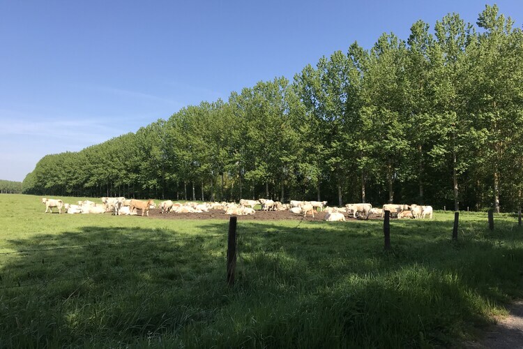 Maison de vacances Cinais, à 100m de la Vienne - Photo 37