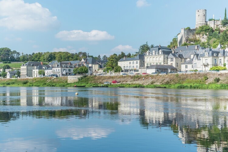 Maison de vacances Cinais, à 100m de la Vienne - Photo 38