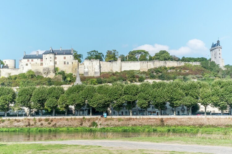 Maison de vacances Cinais, à 100m de la Vienne - Photo 39