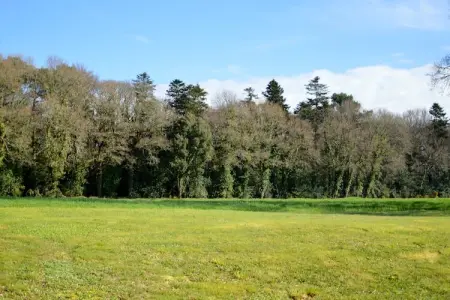 Maison a 3km de la plage, Maison de vacances spacieuse avec étang clôturé - Photo 25