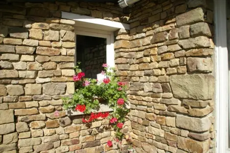 Ancienne boulangerie normande avec terrasse et jardin : photo 23