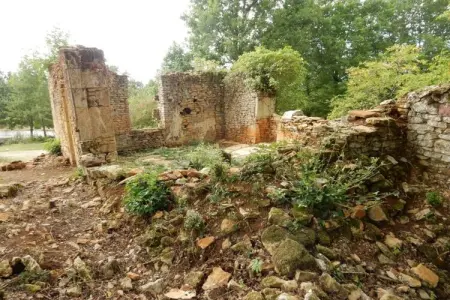 Ancienne boulangerie normande avec terrasse et jardin : photo 34