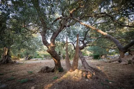 Maison 6 personnes Ozeville, jardin et barbecue : photo 26