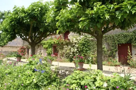 Maison XVIe siècle Saint Laurent-des-Mortiers, jardin fleuri : photo 26