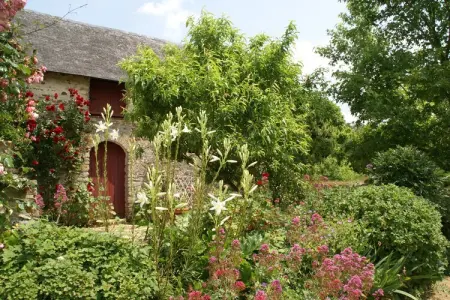 Maison XVIe siècle Saint Laurent-des-Mortiers, jardin fleuri : photo 27
