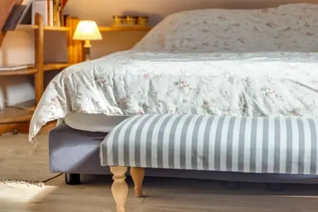 Maison XVIe siècle Saint Laurent-des-Mortiers, jardin fleuri : photo 40