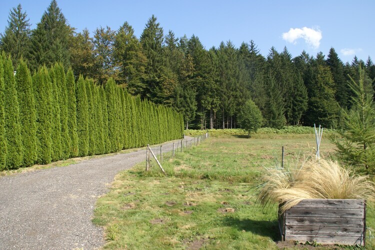 Maison 4 personnes avec jardin à Turquestein-Blancrupt - Photo 28