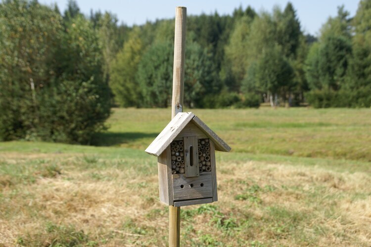 Maison 4 personnes avec jardin à Turquestein-Blancrupt - Photo 37