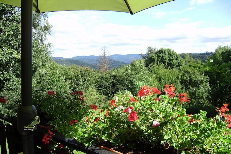 Chalet Hommert, 4 pers. – Jardin et nature aux Vosges - Photo 19
