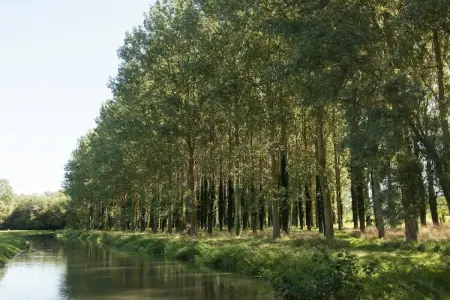 Maison Le Ponchel, Gîte du Domaine du Moulin avec un beau jardin - Photo 23