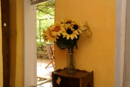 Provencal, Maison de vacances à Six-Fours plage - Photo 20