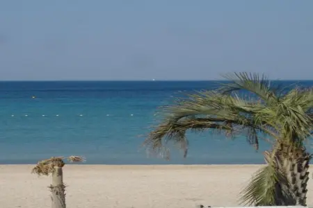 Provencal, Maison de vacances à Six-Fours plage - Photo 39