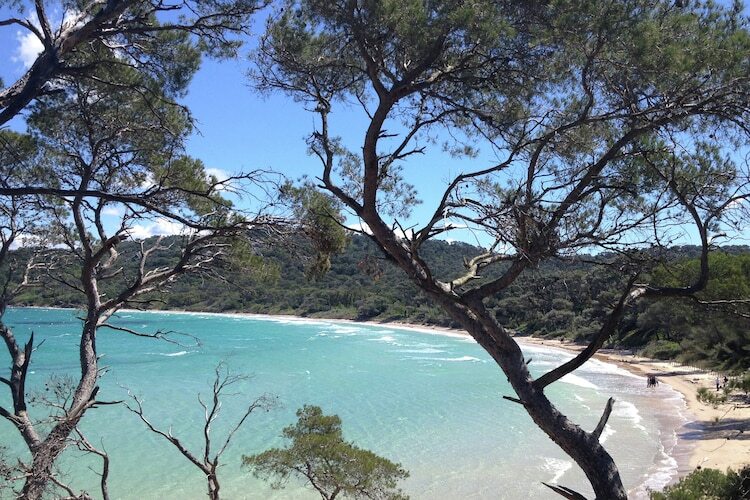 Villa 4 chambres Hyères, piscine chauffée à 3 km de la plage - Photo 31