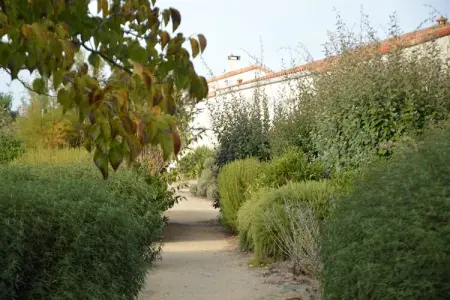TALMONT-ST HILAIRE, Maison de vacances au calme en bord de mer dans - Photo 30
