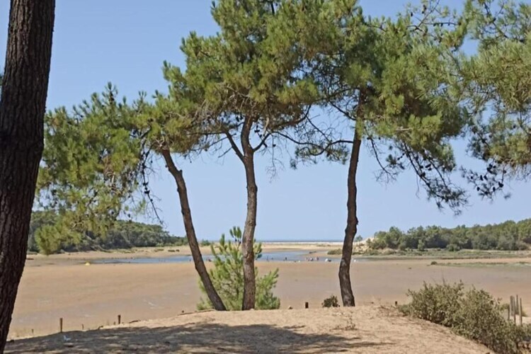 Maison 2 chambres avec terrasse à 8 km de la plage - Photo 32