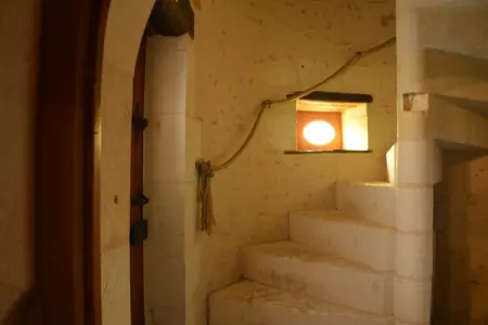 Manoir du XVe siècle avec piscine privée à Lencloître : photo 9
