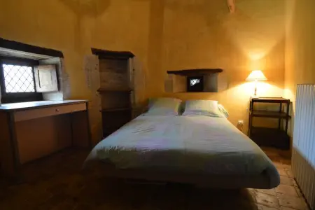 Manoir du XVe siècle avec piscine privée à Lencloître : photo 19