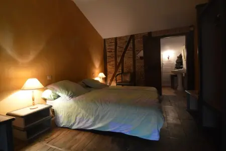 Manoir du XVe siècle avec piscine privée à Lencloître : photo 23