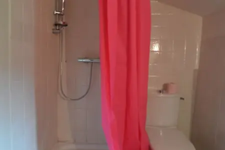 Manoir du XVe siècle avec piscine privée à Lencloître : photo 34