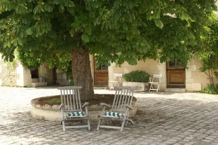 Manoir du XVe siècle avec piscine privée à Lencloître : photo 37