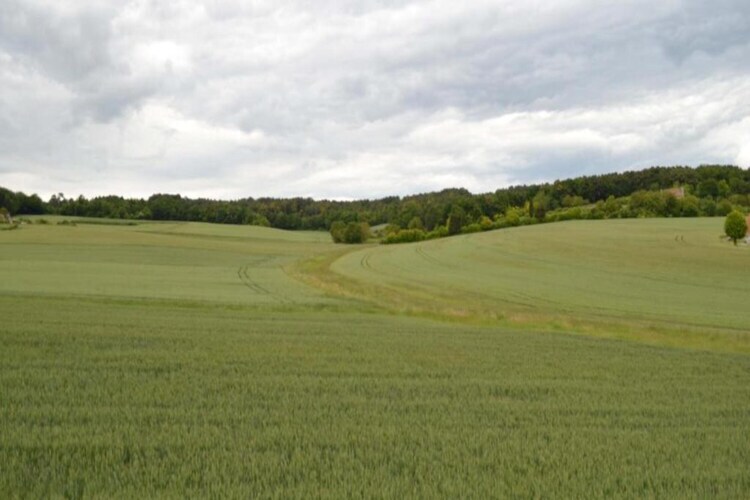 Maison mitoyenne Sossay, jardin et terrasse vue prairie - Photo 18