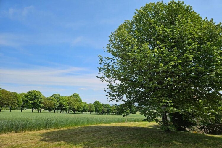 Maison mitoyenne Sossay, jardin et terrasse vue prairie - Photo 27