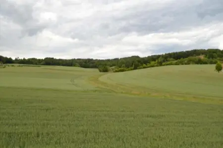 Maison mitoyenne Sossay, jardin et terrasse vue prairie : photo 18