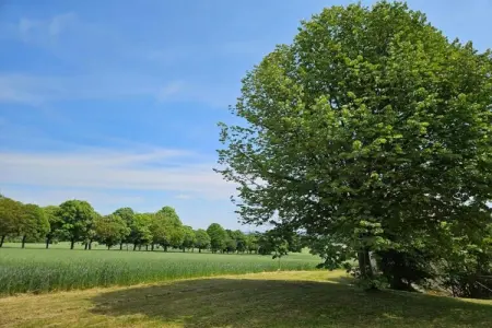 Maison mitoyenne Sossay, jardin et terrasse vue prairie : photo 27