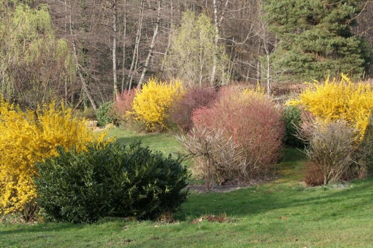 Maison 5 pers. en pleine nature à La Chapelle-Aux-Bois - Photo 27