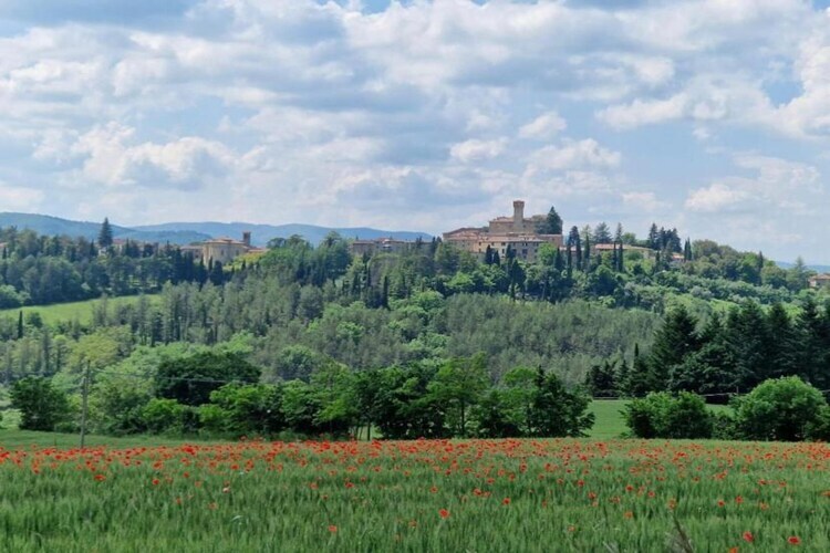 Maison Rondine à Monte Santa Maria Tiberina - Photo 33