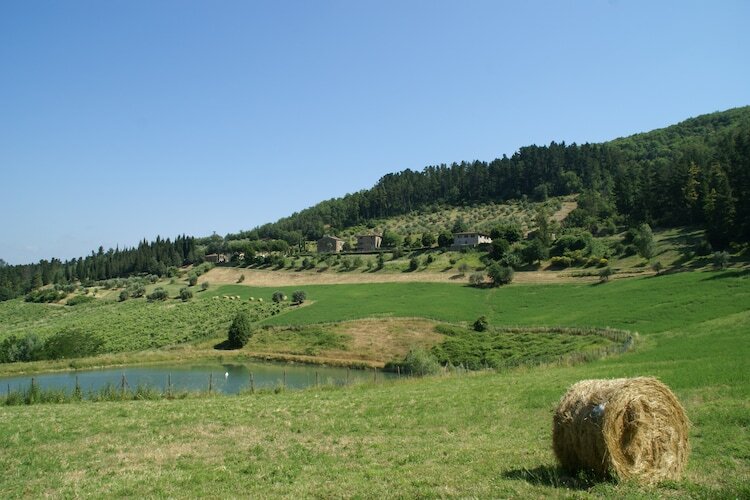 Brunelleschi, gîte 4 personnes avec piscine en Toscane - Photo 15