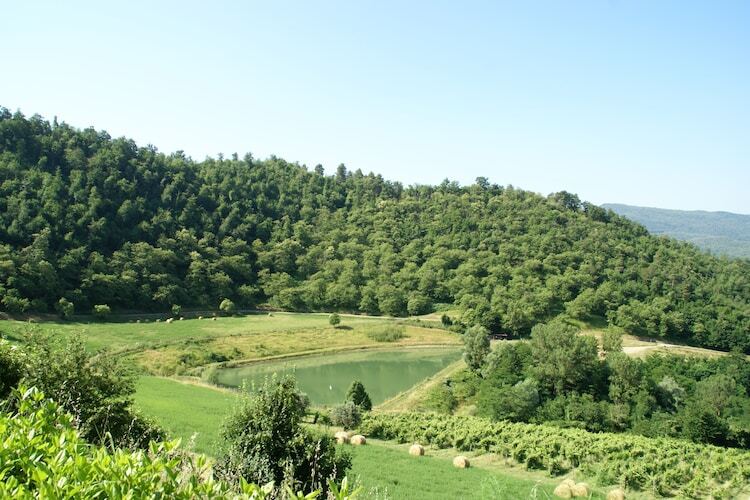 Gîte Giotto : Ferme toscane avec piscine à Dicomano - Photo 21