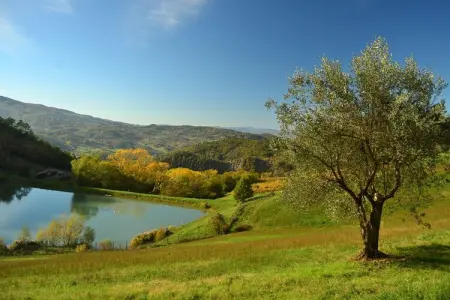 Gîte Giotto : Ferme toscane avec piscine à Dicomano : photo 17