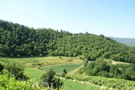 Gîte Giotto : Ferme toscane avec piscine à Dicomano : photo 21