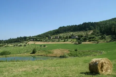 Gîte Giotto : Ferme toscane avec piscine à Dicomano : photo 26