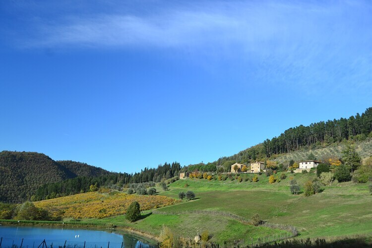 Beato Angelico – Maison 8 pers. avec piscine en Toscane - Photo 27