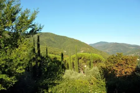 Beato Angelico – Maison 8 pers. avec piscine en Toscane : photo 39