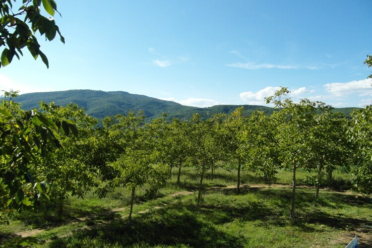 Il Camino – Maison 7 pers. avec piscine à Monterchi - Photo 31