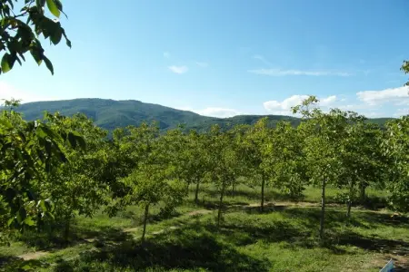 Il Camino, Confort rustique avec une touche moderne - Photo 30