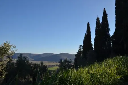 Grande, Maison de vacances à Cortona - Photo 28