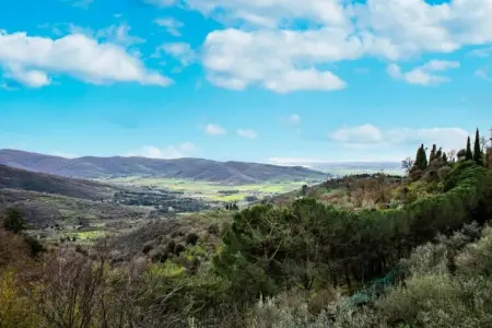 Grande, Maison de vacances à Cortona - Photo 33
