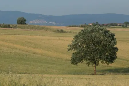 Grande, Maison de vacances à Cortona - Photo 39